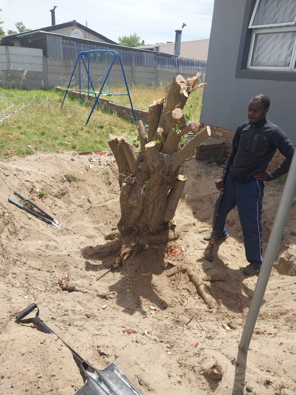 Stump grinding service