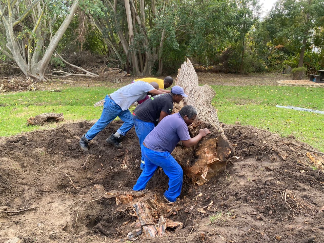 Irrigation service